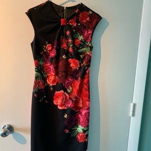 Ted Baker London Dress size 1 (us size 4 )